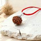 Nepal Origin 7-mukhi Rudraksha