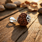 Nepal Origin 7-mukhi Rudraksha
